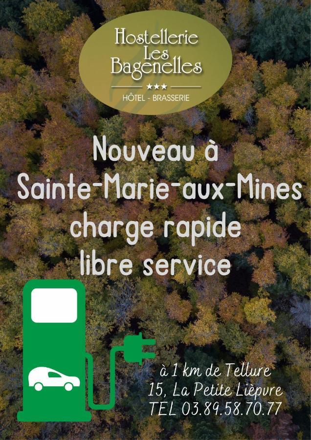 Hostellerie Les Bagenelles Sainte-Marie-aux-Mines Bagian luar foto